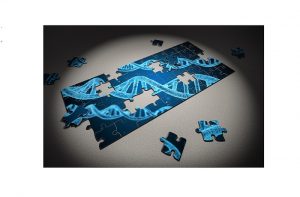 microbiome testing