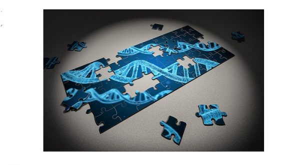 microbiome testing