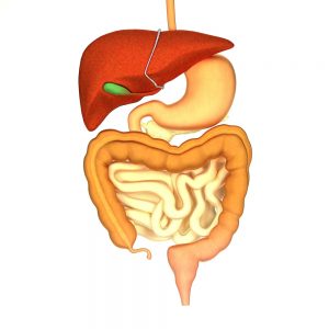 gut health test