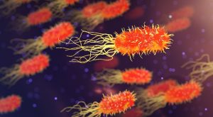 Clostridium