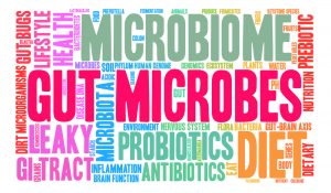 gut bacteria